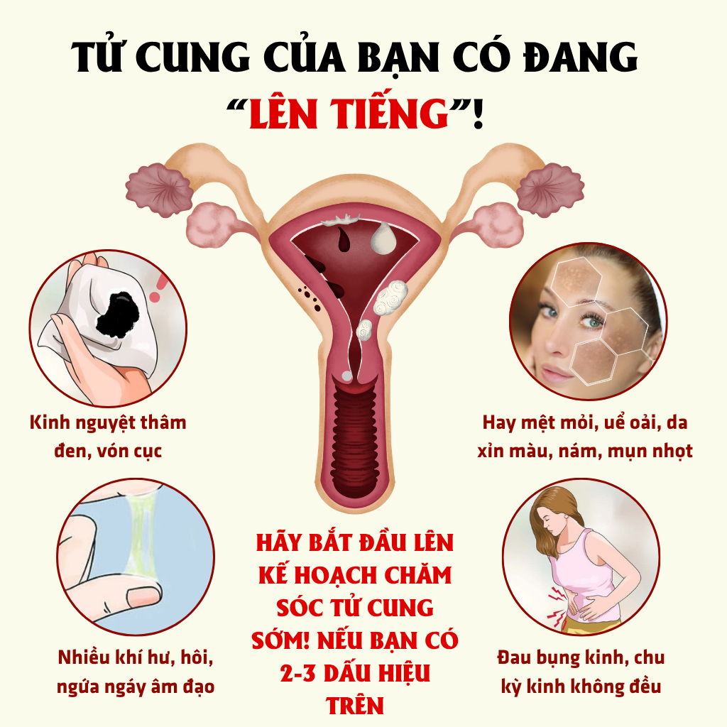 Sử dụng Bổ Khí Huyết Điều Hòa Kinh Nguyệt Cao Cấp trong đời sống