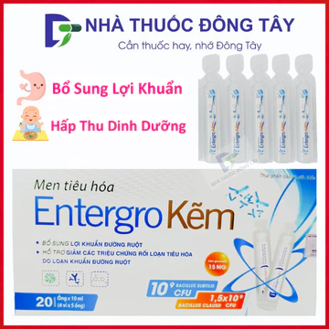 Men Tiêu Hóa / Ống Tiêu Hóa Có Kẽm Hỗ Trợ Lợi Khuẩn Đường Ruột, Giảm Rối Loạn Tiêu Hóa – Hộp 20 ống