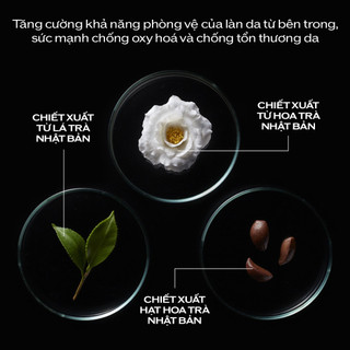 Tinh chất dưỡng da Shiseido Men Ultimune Power Infusing Concentrate 50ml