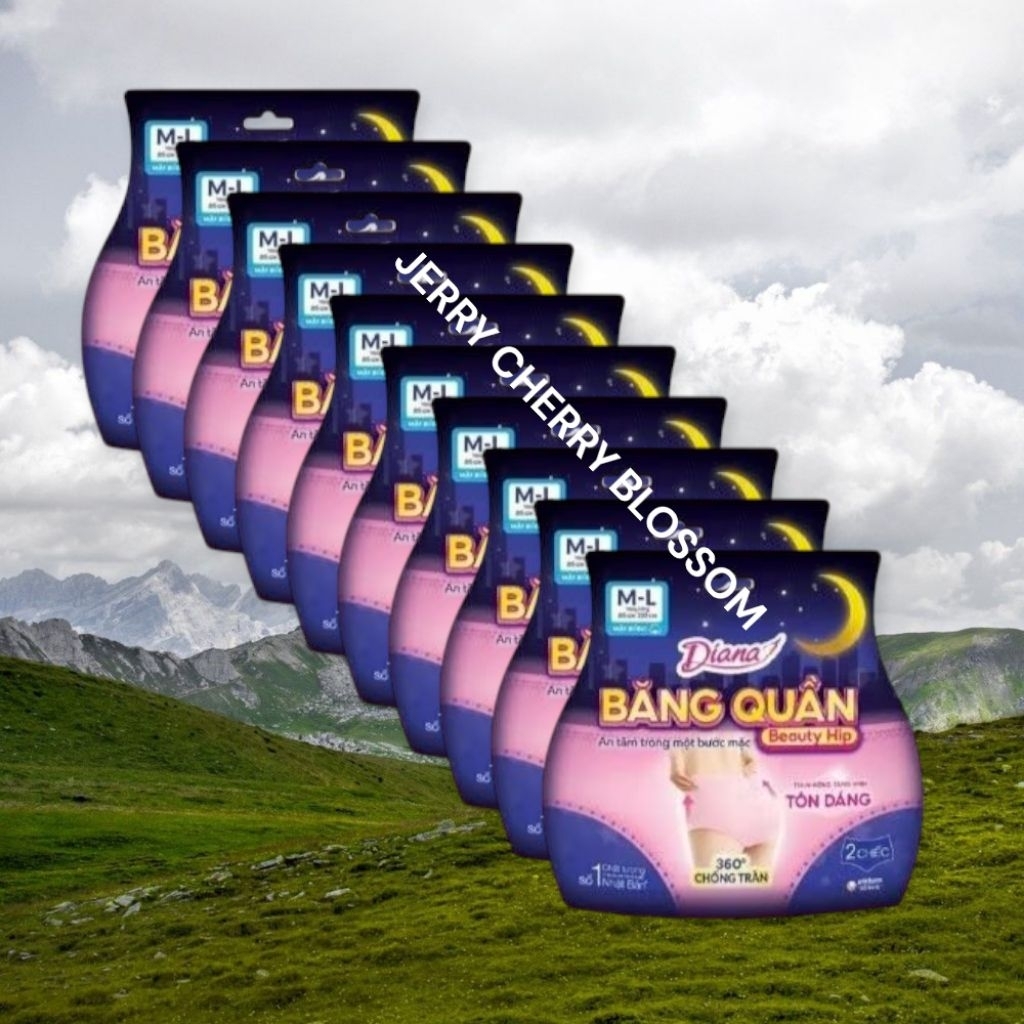 Bộ 10 gói băng vệ sinh dạng quần Diana  Beauty hip size SM và ML 2 chiếc/gói