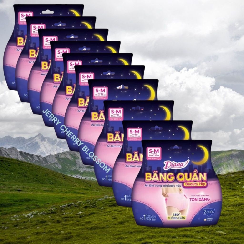 Bộ 10 gói băng vệ sinh dạng quần Diana  Beauty hip size SM và ML 2 chiếc/gói