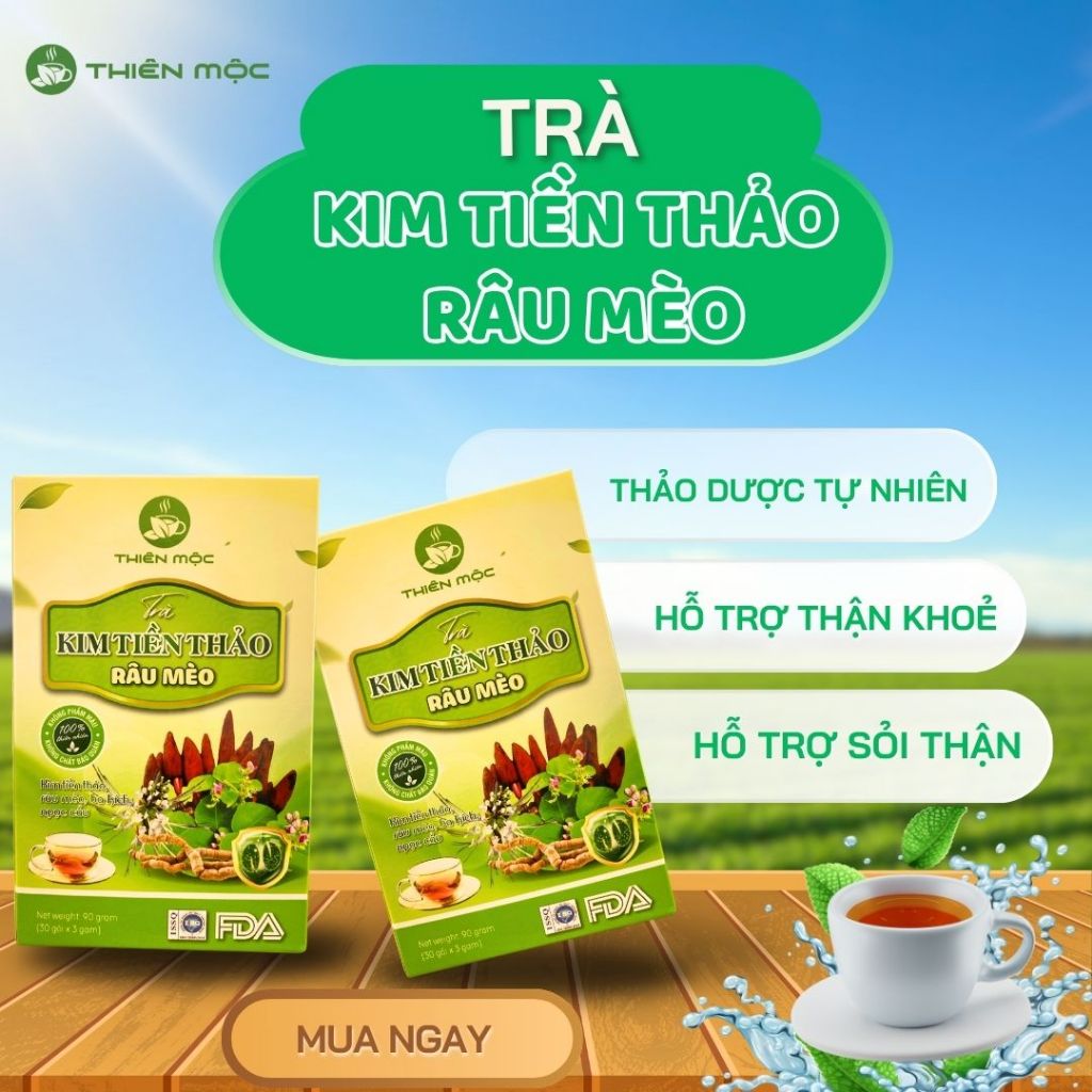 Trà Bổ Thận Kim Tiền Thảo Râu Mèo Thiên Mộc Hỗ Trợ Giải Độc, Thanh Nhiệt - 30 Túi Lọc Tiện Lợi 2