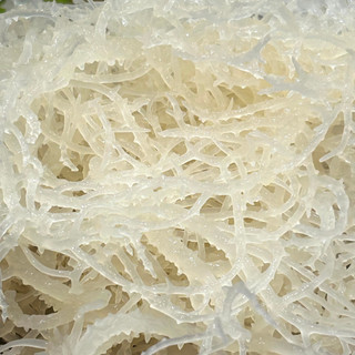 1KG Rong sụn gai biển muối khô 1 nắng, nấu chè ngon giòn, gỏi rong sụn, seamoss gel