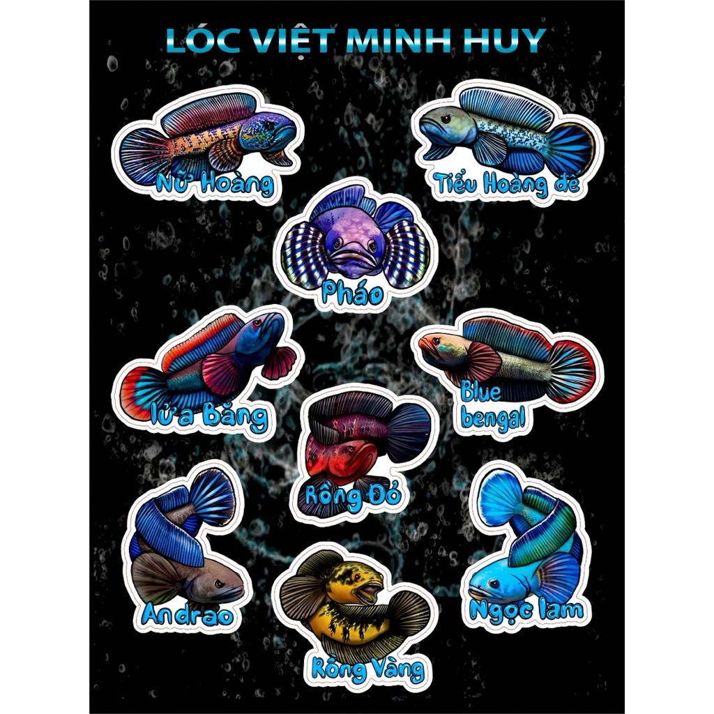 Tem dán cá lóc -Sticker hình cá Lóc dán trang trí Bể cá | Shopee Việt Nam