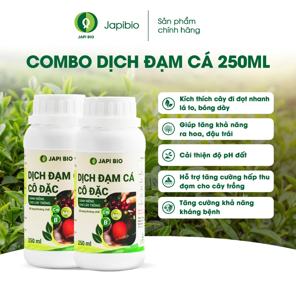 Combo 2 chai đạm cá hữu cơ JapiBio 250ml – Nuôi rễ khỏe – Lá dày – An toàn cho rau sạch tại nhà