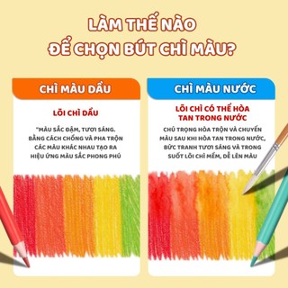 Hộp Chì Màu Dầu Chuyên Nghiệp 12/18/24/36 Màu - Bút Chì Màu Gỗ Cao Cấp, Ruột Mịn, Lên Màu Chuẩn
