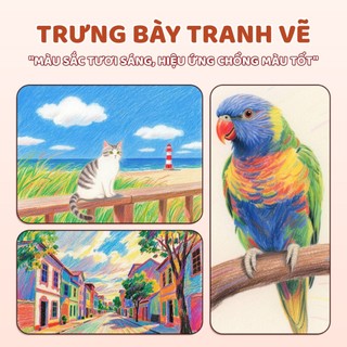 Hộp Chì Màu Dầu Chuyên Nghiệp 12/18/24/36 Màu - Bút Chì Màu Gỗ Cao Cấp, Ruột Mịn, Lên Màu Chuẩn