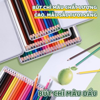 Hộp Chì Màu Dầu Chuyên Nghiệp 12/18/24/36 Màu - Bút Chì Màu Gỗ Cao Cấp, Ruột Mịn, Lên Màu Chuẩn