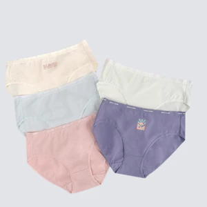 (XẢ KHO) Combo 5 quần lót nữ hiệu 505-7546, cotton lưng cao vừa, dáng Midi,