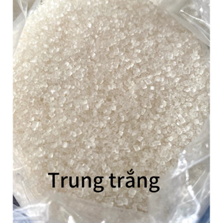 [Bao giấy 12kg] Đường cát hạt trung