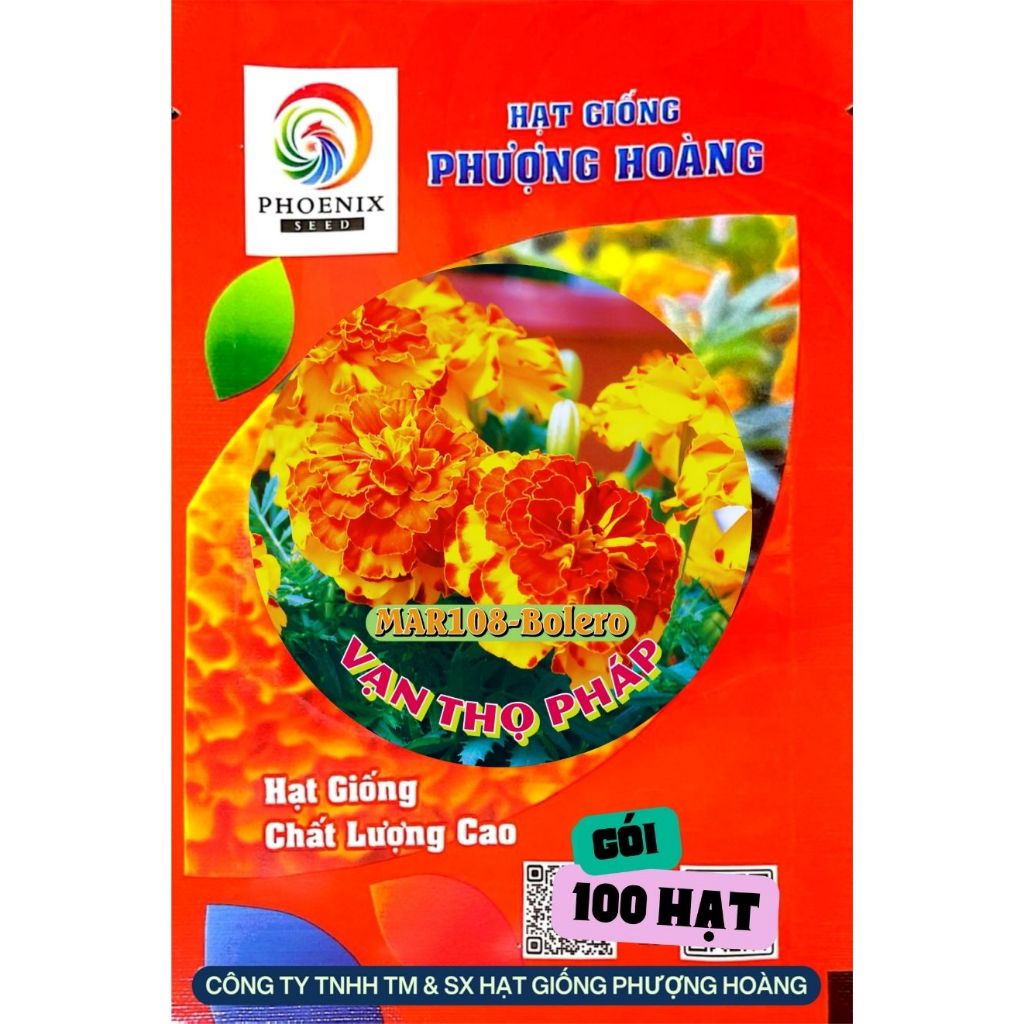 Hoa Vạn Thọ Ban Mai MAR108 Hạt Giống Phượng Hoàng