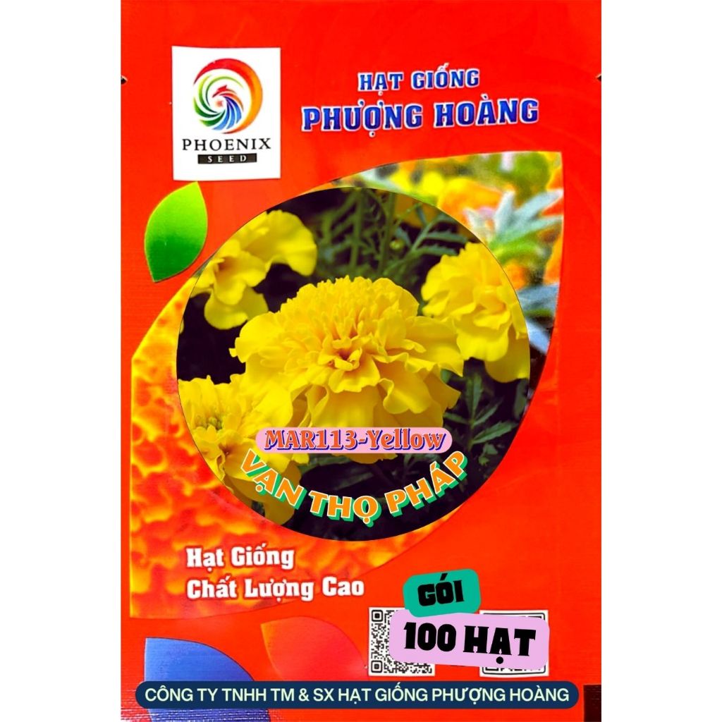 Hoa Vạn Thọ Ban Mai MAR113 Hạt Giống Phượng Hoàng