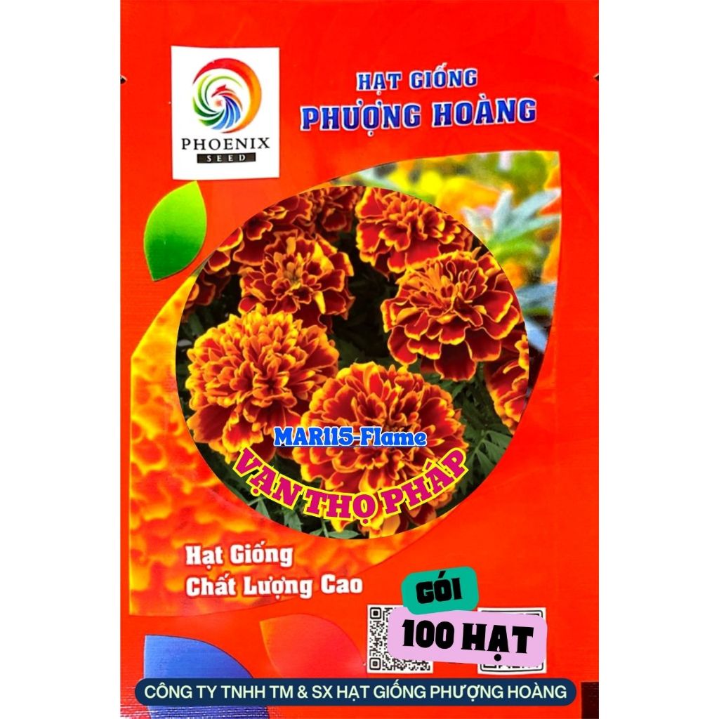 Hoa Vạn Thọ Ban Mai MAR115 Hạt Giống Phượng Hoàng