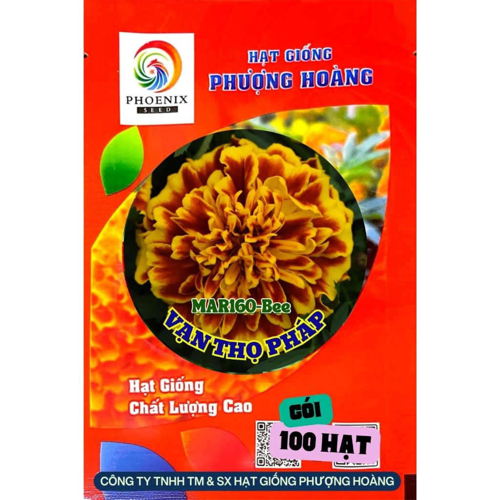 Hoa Vạn Thọ Ban Mai MAR160 Hạt Giống Phượng Hoàng