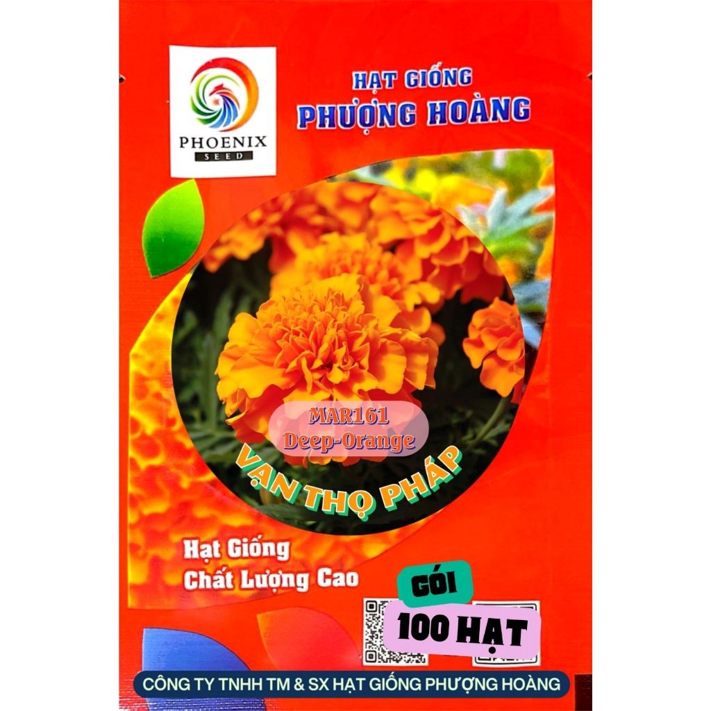 Hoa Vạn Thọ Ban Mai MAR161 Hạt Giống Phượng Hoàng