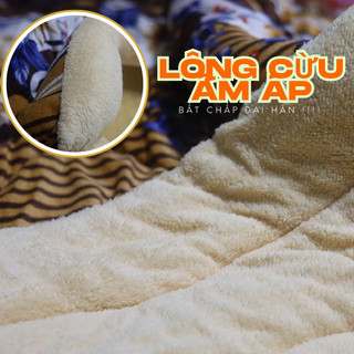Chăn Lông Cừu Trần Bông HueBo Bedding 3 Lớp Siêu Dày, Chăn Đại Hàn Cao Cấp Chống Xô Lệch, Vón Cục