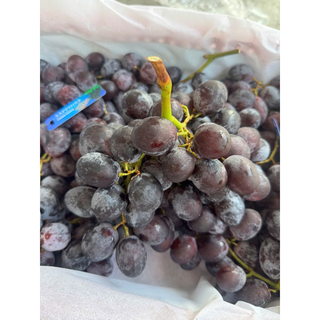 [ HỎA TỐC ] NHO ĐEN TRÁI TRÒN SIU TO