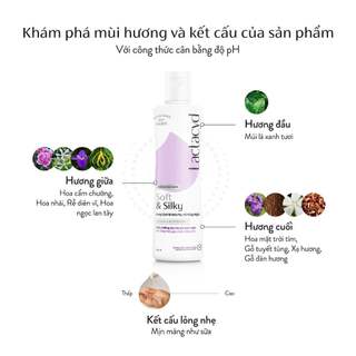 Bộ 1 DDVS phụ nữ Lactacyd Soft & Silky Dưỡng Ẩm 250ml + 1 Thực phẩm bảo vệ sức khỏe Pharmaton Energy Fizzi