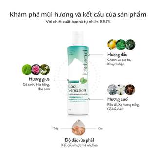 [ Quà tặng không bán ] Băng Vệ Sinh Diana Cool Fresh