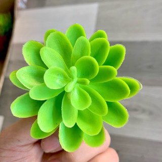 COMBO 10 bông Sen đá nhựa 7cm hàng loại 1–Bông xoè nở đều,  🌵 trang trí nội thất, quán cà phê, studio chụp ảnh, sân vườn