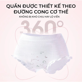 MUA 3 TẶNG 3 (Combo 30 miếng) Băng Vệ Sinh Dạng Quần PERFECT LADY thấm hút tốt, thoáng khí, mỏng nhẹ