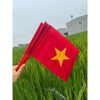 COMBO BÓ 100 CỜ VẪY CỜ CẦM TAY  (ducphong)