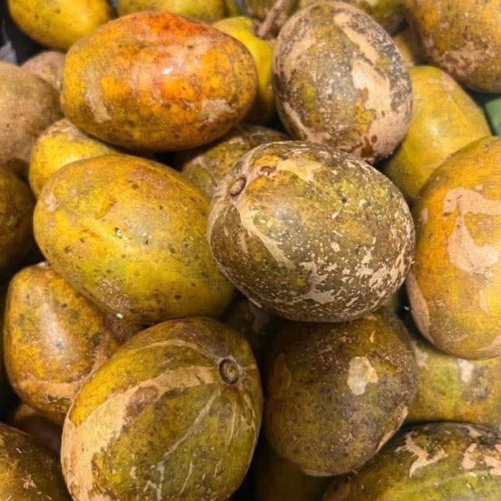 1kg ]] trái CÓC CHÍN CÂY .CÓC MIỀN TÂY.NGỌT THƠM .CHẤM MUỐI TÔM BÁ