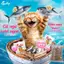 Thức Ăn Hạt Smillie Cho Mèo Trưởng Thành