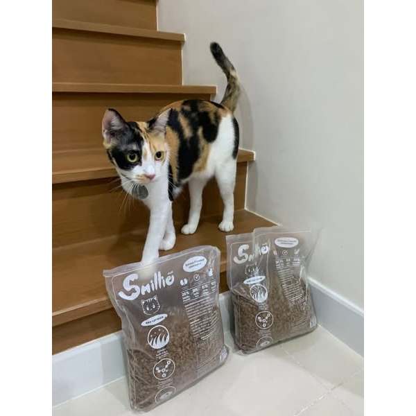 [Bao 20kg] Thức Ăn Hạt Smillie Cho Mèo Trưởng Thành