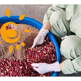 Bán bã lạc nguyên chất – Sau ép dầu lạc / Selling pure peanut residue - After pressing peanut oil