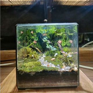 Terrarium Phong Thủy "RỪNG THIÊNG THU NHỎ" quà tặng phong thủy, trang trí nhà cửa