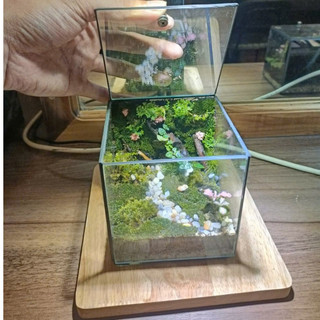 Terrarium Phong Thủy "RỪNG THIÊNG THU NHỎ" quà tặng phong thủy, trang trí nhà cửa