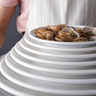 Đĩa Phíp ( Melamine A5 ) Cao Cấp Trắng Sang Trọng Bền Đẹp Không Xước - Ố  3408