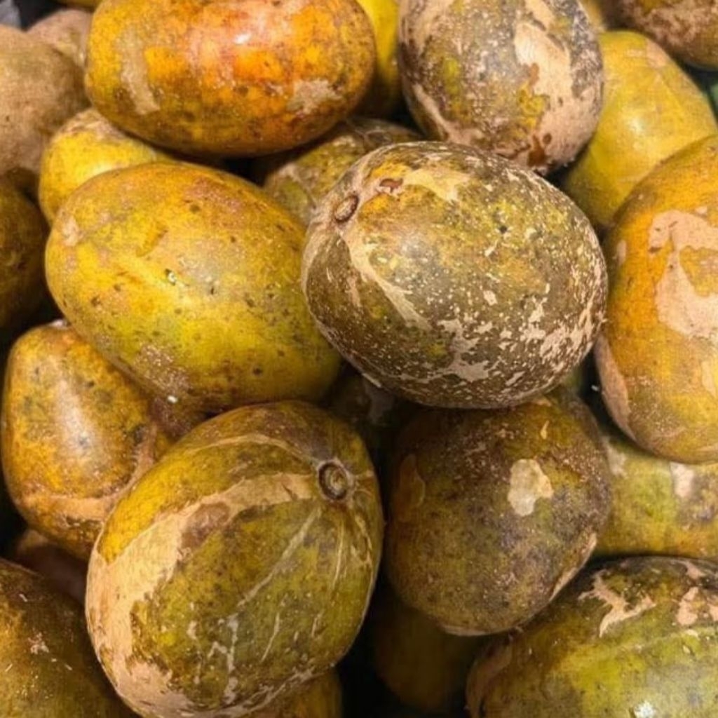 1kg ]] trái CÓC CHÍN CÂY .CÓC MIỀN TÂY.NGỌT THƠM .CHẤM MUỐI TÔM BÁ