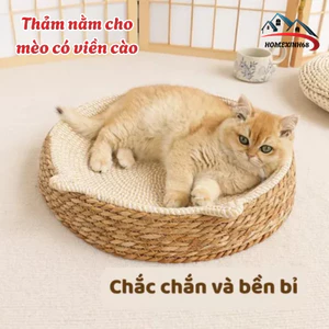 Thảm Nằm Cho Mèo Kèm Đồ Chơi – Làm Mát, Cào Móng, Giúp Mèo Vui Chơi Khỏe Mạnh
