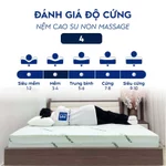 Nệm gấp 2 massage cao su non Trung Nguyên, nệm êm ái, nâng đỡ tốt thiết kế có hạt massage hỗ trợ xương khớp. — ảnh 7