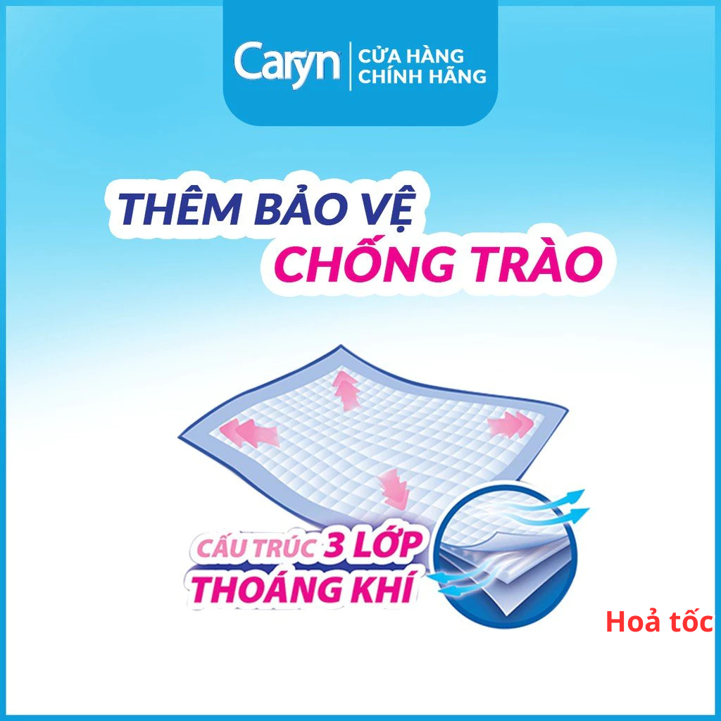 Miếng lót Caryn chính hãng, tấm đệm lót Caryn cho người già và chị em sau sinh đủ size M/L/XL