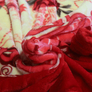 [ Hàng Loại 1 ] Chăn Lông  2 Lớp tuyết nhung 2kg Cỡ 1m8x2m - Chăn Đơn Siêu Ấm Cho Sinh Viên, Văn Phòng