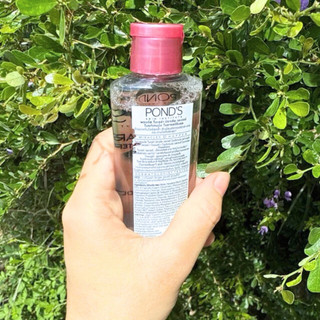 Combo 3 Món cho nữ: 2 Chai sữa rửa mặt Hazeline tràm trà CiCa 40g+ 1 Chai nước tẩy trang Pond's 100ml-Hàng khuyến mãi