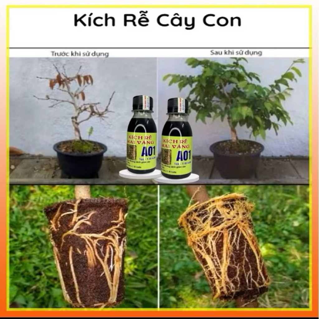 kích rễ A01 mua 1 tặng 1  kích rễ cực mạnh cho cây