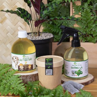 Nhà Thương Cây - COMBO PHỤC HỒI CÂY YẾU CÂY SUY