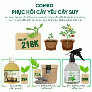 Nhà Thương Cây - COMBO PHỤC HỒI CÂY YẾU CÂY SUY