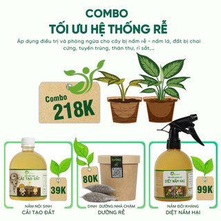 Nhà Thương Cây - COMBO TỐI ƯU HỆ THỐNG RỄ CÂY