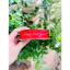 5 mét Ruy băng lụa in chữ Just For You dày đẹp