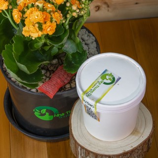 Nhà Thương Cây - Hộp Dưỡng Hoa dinh dưỡng hỗ trợ ra hoa