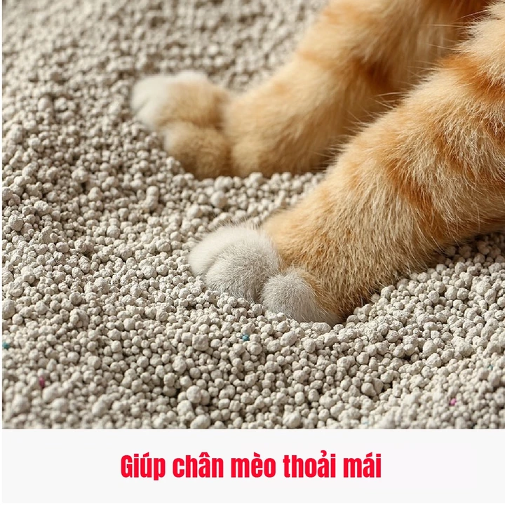 Cát mèo vệ sinh