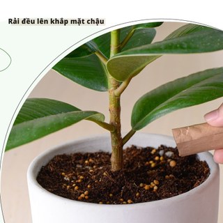 Combo Đất Sạch Bio Pro & Phân Bón Power 4 Plant – Trồng Rau Hoa Cây Cảnh Hiệu Quả