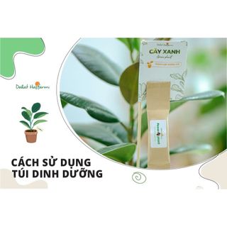 Combo 10 gói Dinh Dưỡng Cho Cây Power 4 Plant Dalat Hasfarm – Chăm sóc cây khỏe đẹp