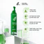 DAILY EFFECT Green Tea Eye Serum (15g)