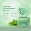 Tẩy tế bào da đầu và dầu gội ngăn ngừa nấm gàu Dr.Sera No Dandruff Shampoo and Scrub Wash 100ml